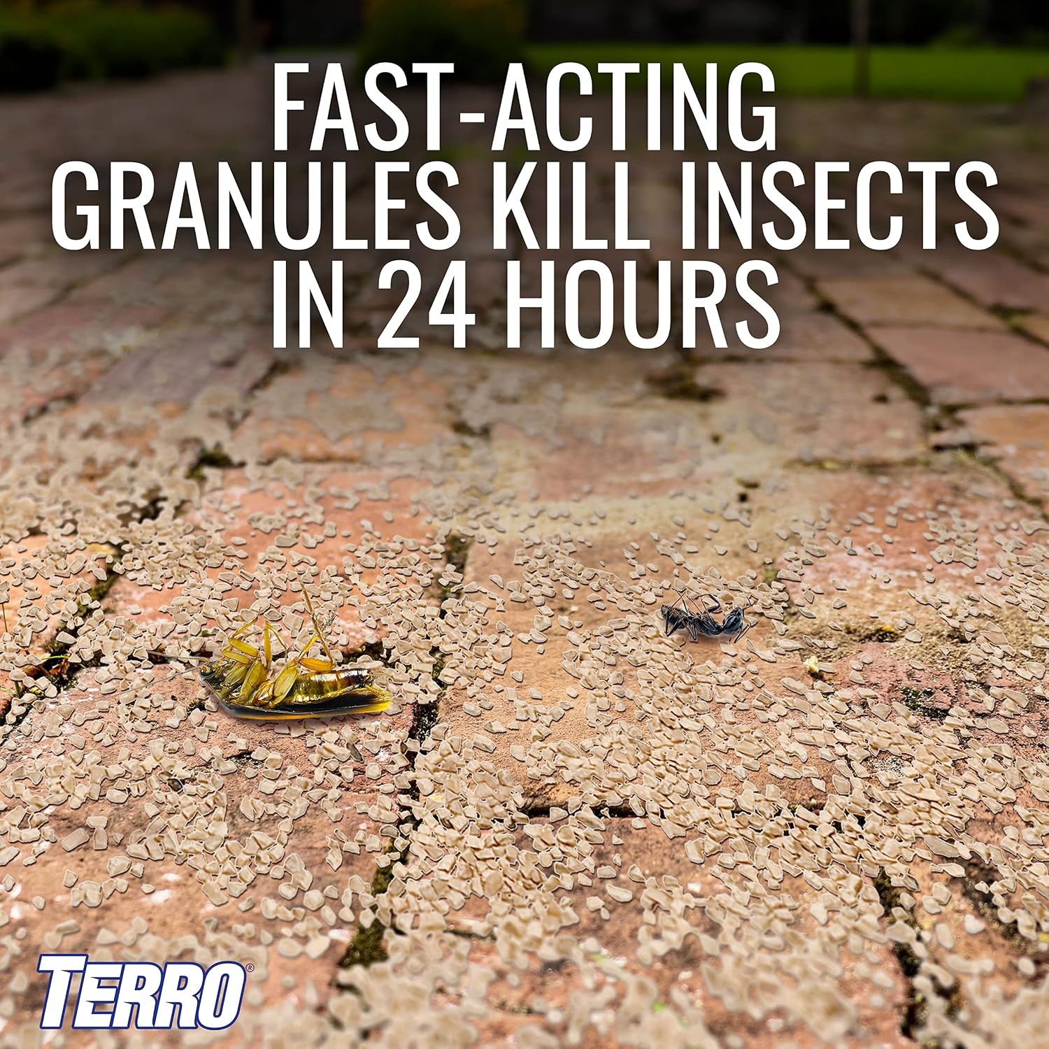 image:imageTERRO Ant Killer Plus MultiPurpose Insect Control 3 lb Shaker Bag2 Pack