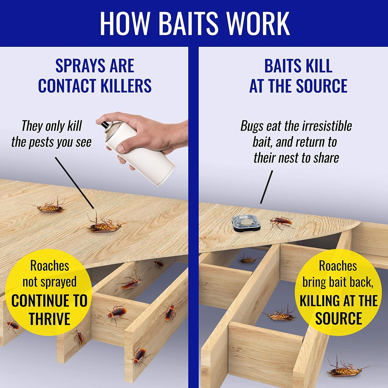 image:imageTERRO Ant amp Roach Bait 4Pack Indoor Ant Killer and Roach Killer4 Ant Roach Bait Stations