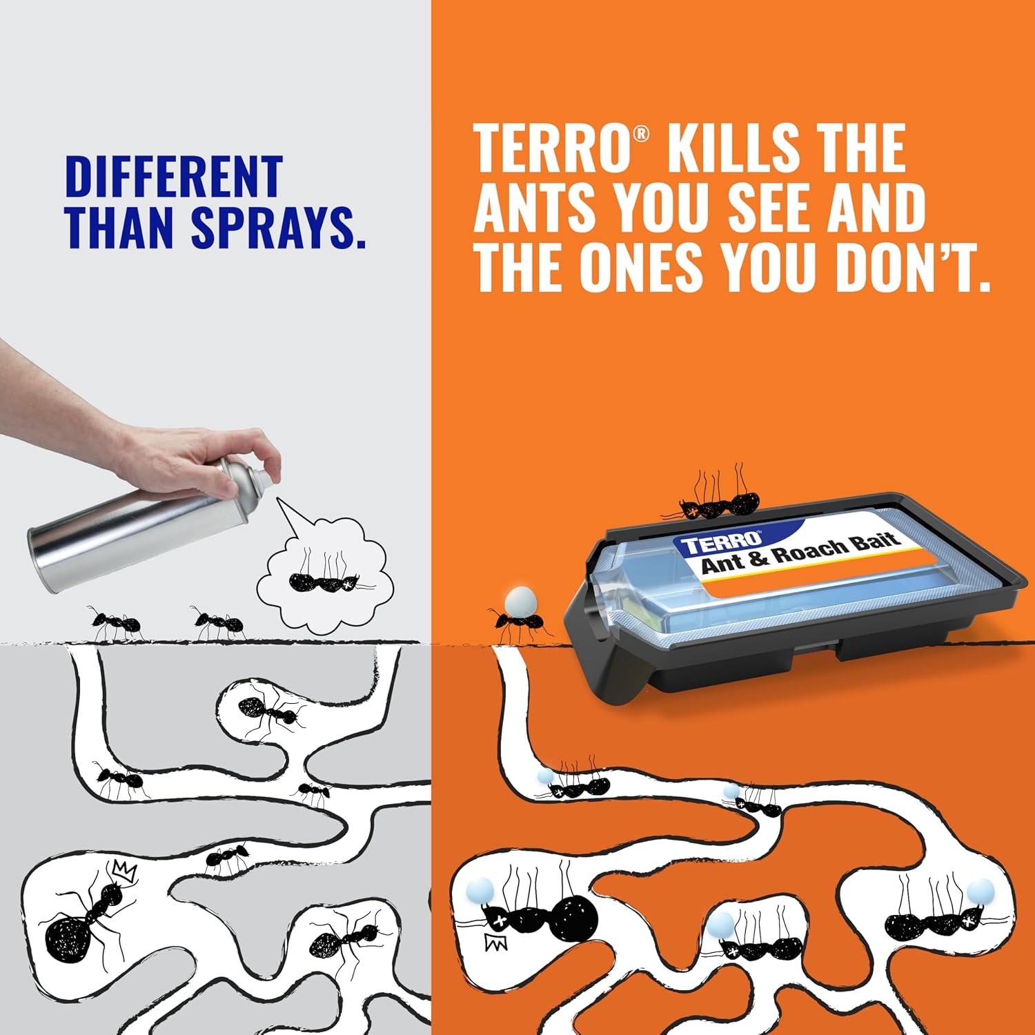 image:imageTERRO Ant amp Roach Bait 4Pack Indoor Ant Killer and Roach Killer40 Ant Roach Bait Stations