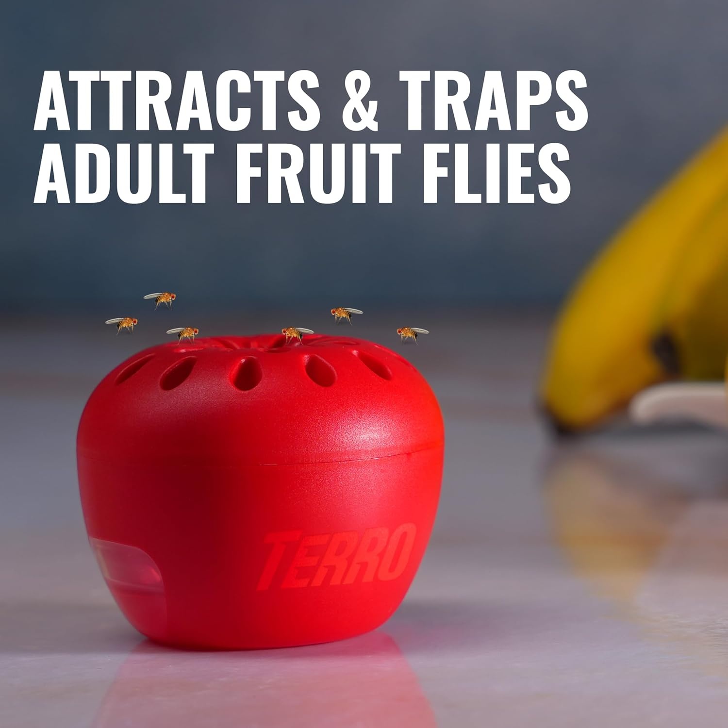 image:imageTERRO Fruit Fly Trap Refills 4 Pack Liquid Bait Replacement for Home6 Traps