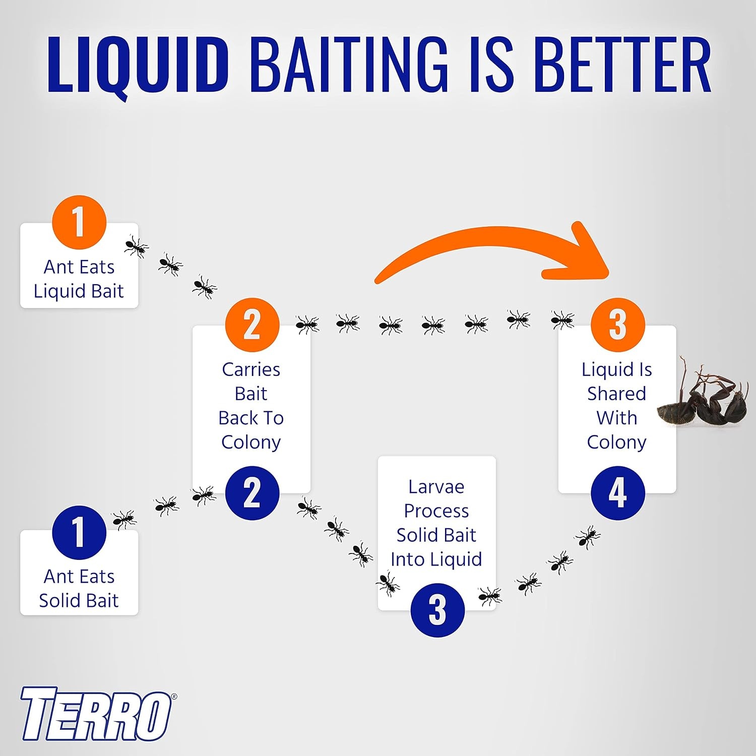 image:imageTERRO Liquid Ant Killer 3Pack Indoor Ant Baits with Borax Kills Common Household Ants Including Ghost Sugar and Black Ants FastActing Pest Control T2003SR3 Pack