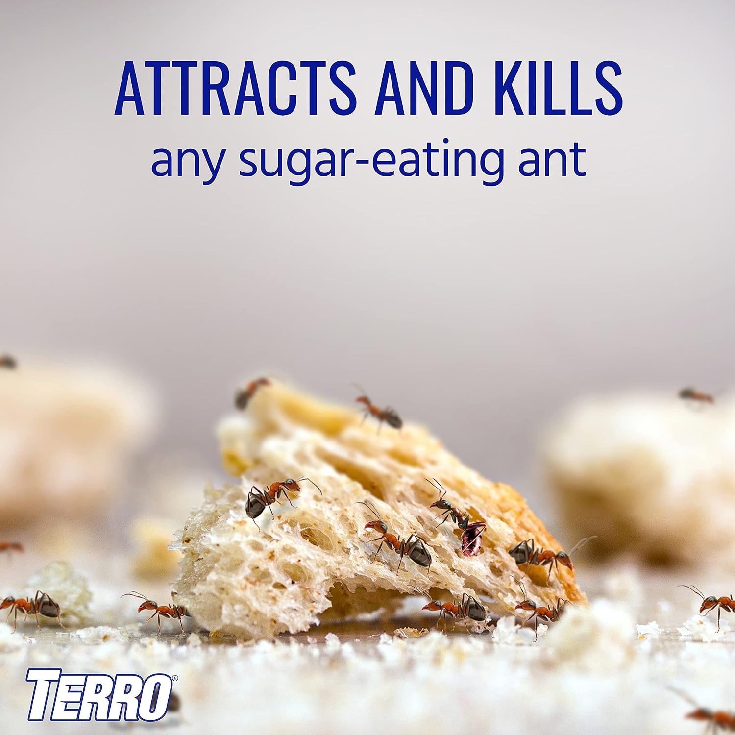 image:imageTERRO Liquid Ant Killer 3Pack Indoor Ant Baits with Borax Kills Common Household Ants Including Ghost Sugar and Black Ants FastActing Pest Control T2003SR3 Pack