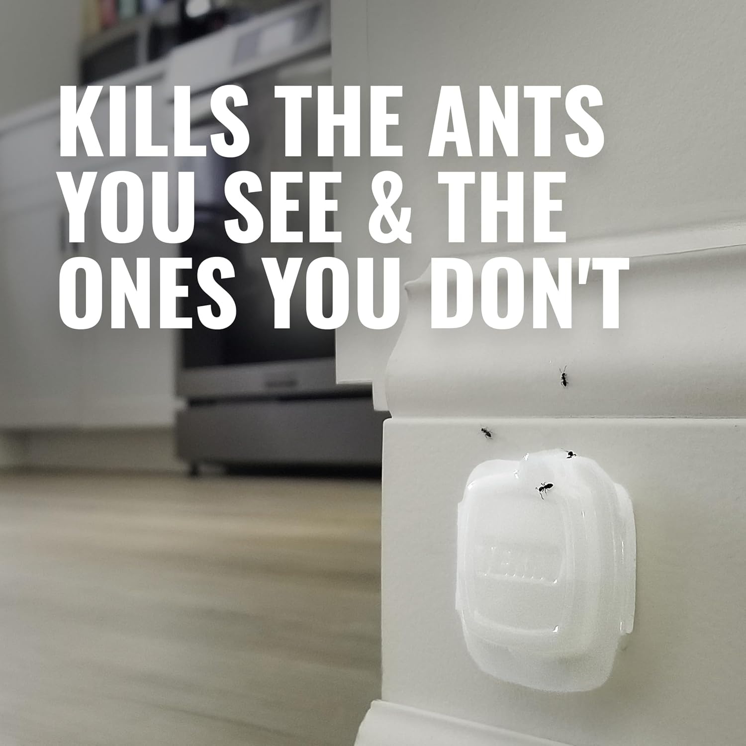 image:imageTERRO MultiSurface Liquid Ant Baits 4Pack Indoor Bait Stations for Home8 Bait Stations