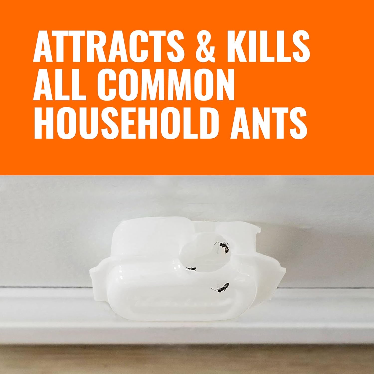 image:imageTERRO MultiSurface Liquid Ant Baits 4Pack Indoor Bait Stations for Home8 Bait Stations Pack of 12