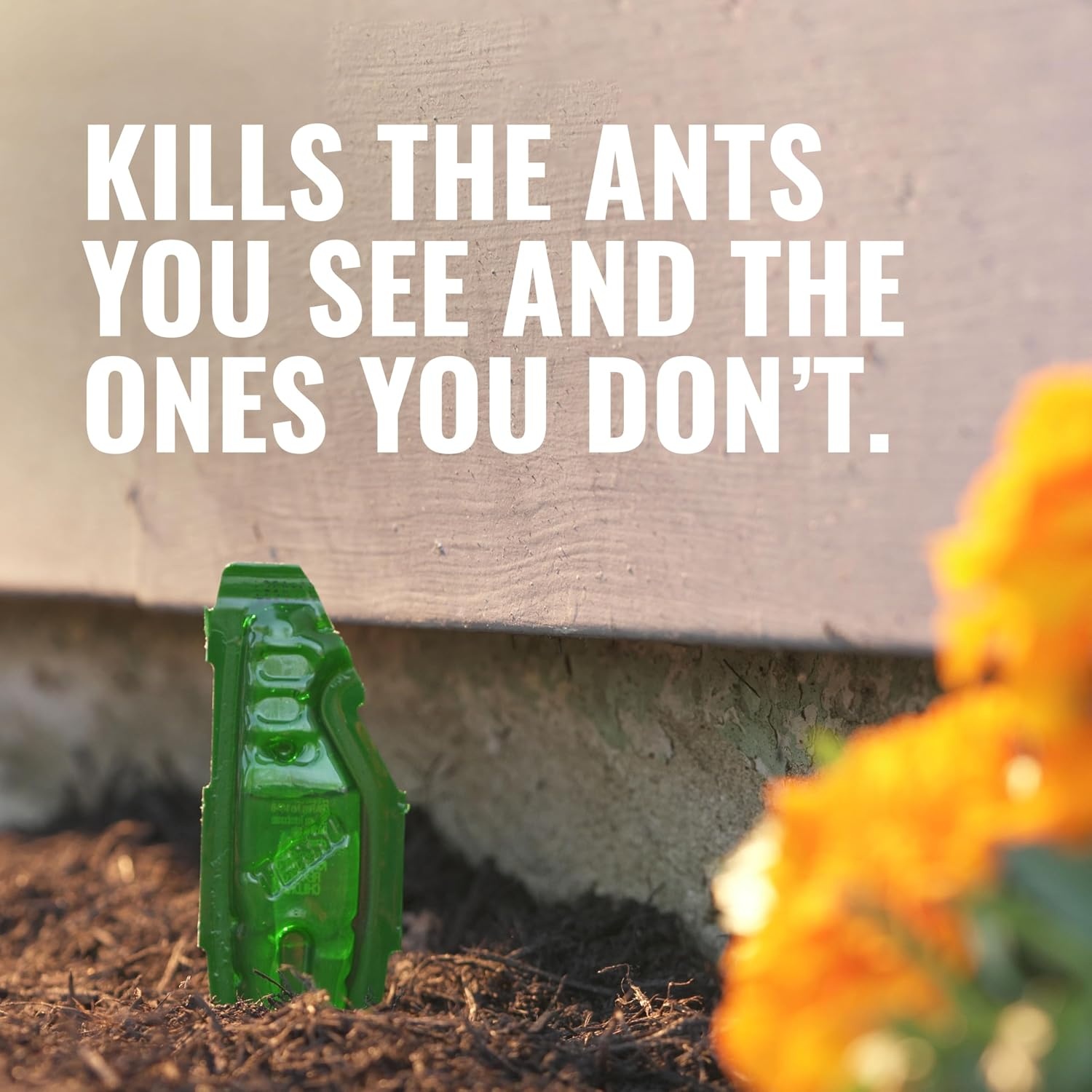 image:imageTERRO Outdoor Liquid Ant Bait Stakes 12Pack ReadytoUse Ant Killer TrapNew Packaging 12 Bait Stations Pack of 12
