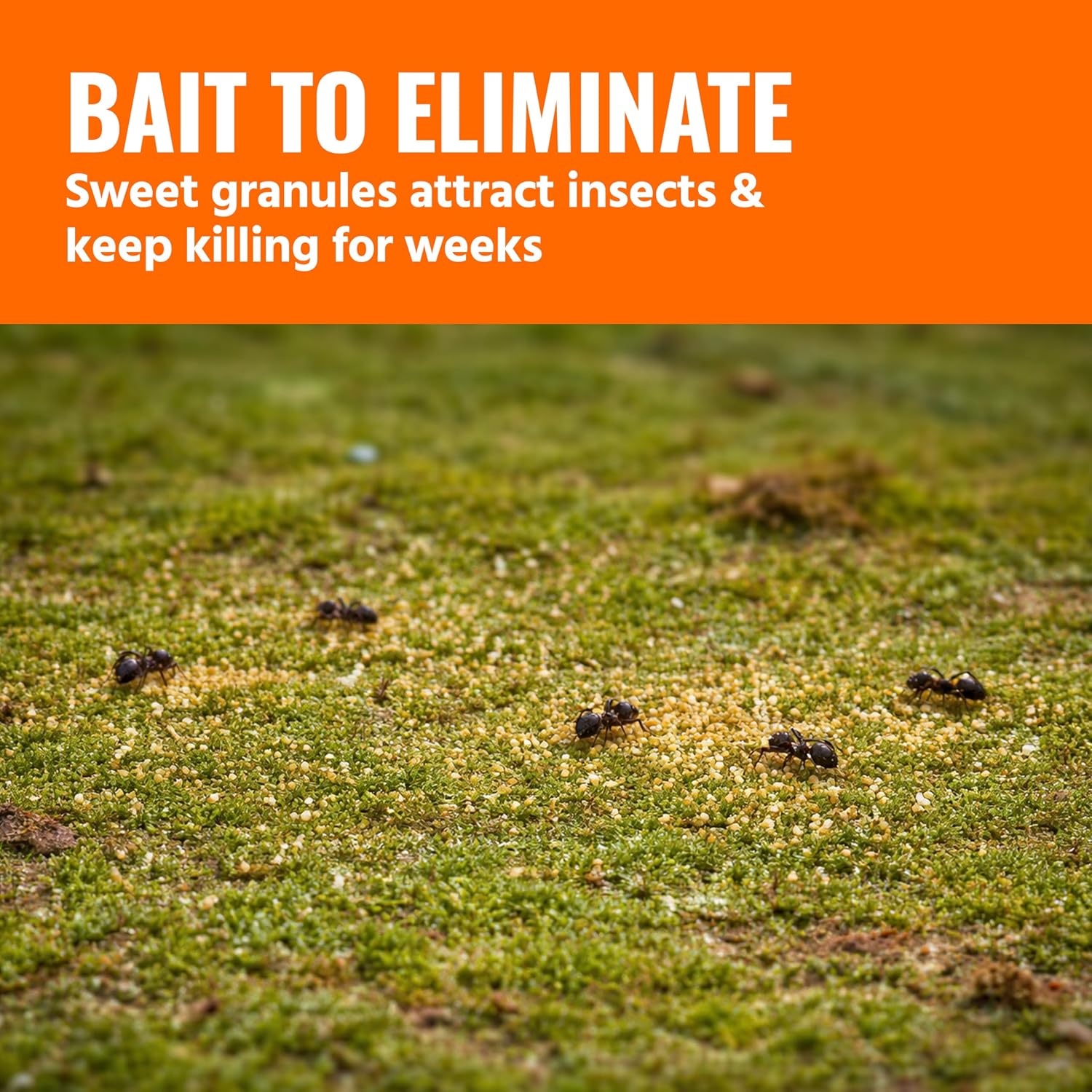 image:imageTERRO Perimeter Outdoor Ant Bait Plus 2Pack 2 lb Shaker Canisters2 Pack