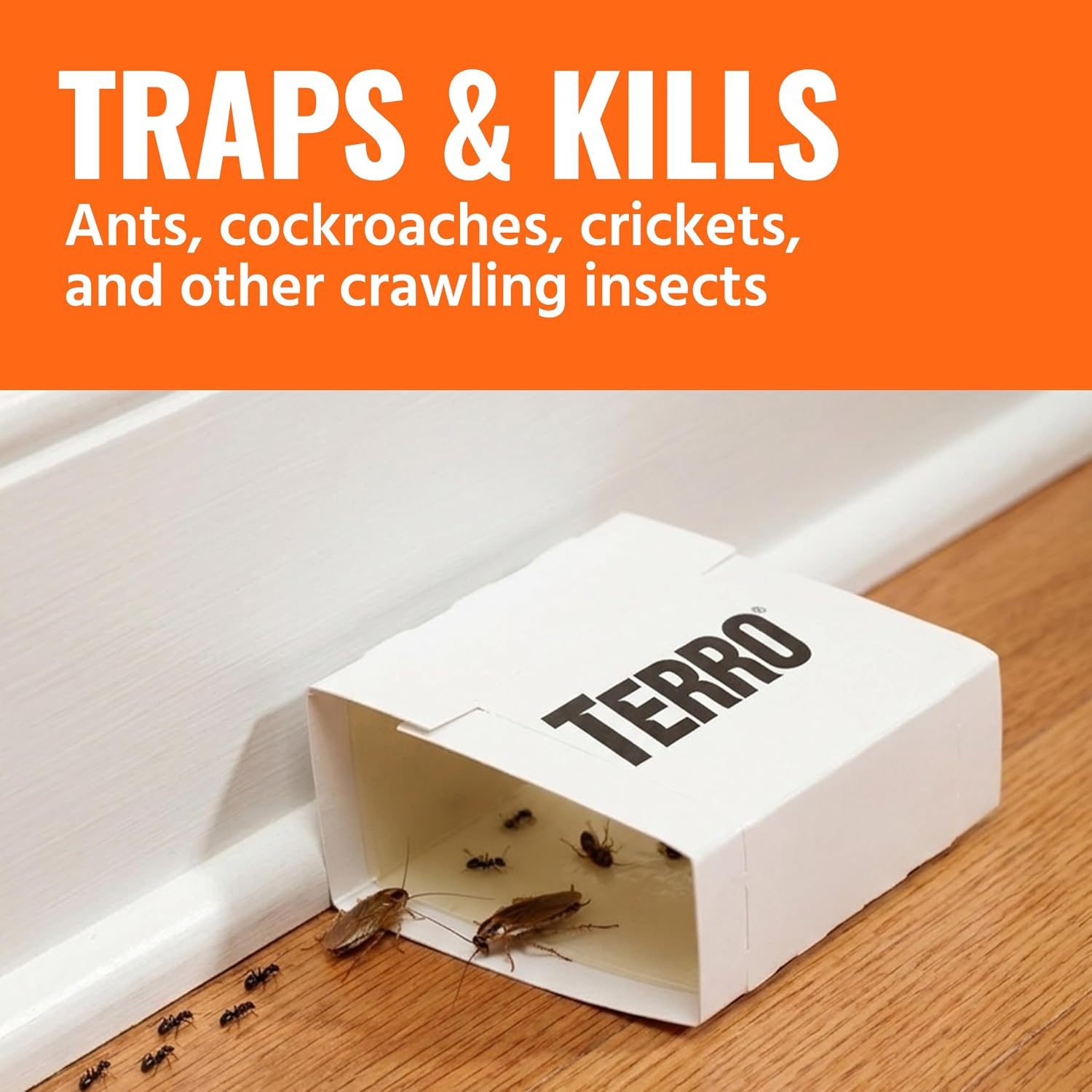 image:imageTERRO Spider amp Insect Trap 10Pack Sticky Glue Traps1 Pack
