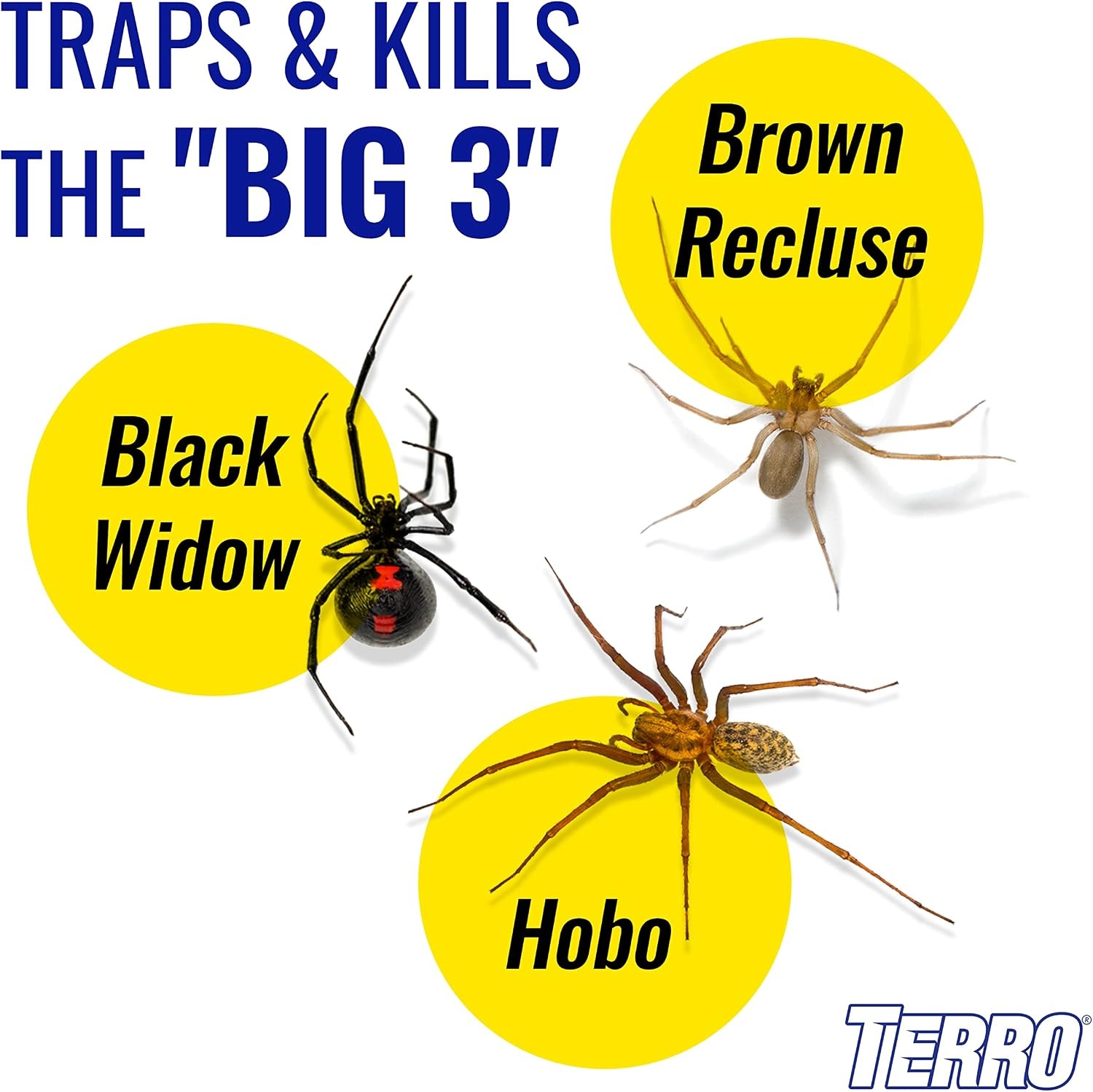 image:imageTERRO Spider amp Insect Trap 10Pack Sticky Glue Traps10 Pack