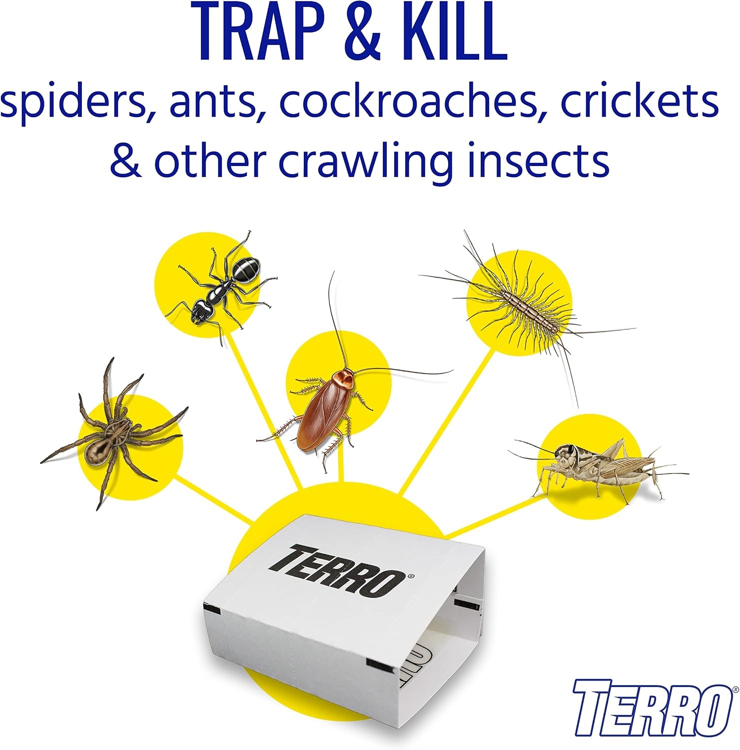 image:imageTERRO Spider amp Insect Trap 10Pack Sticky Glue Traps3 Pack