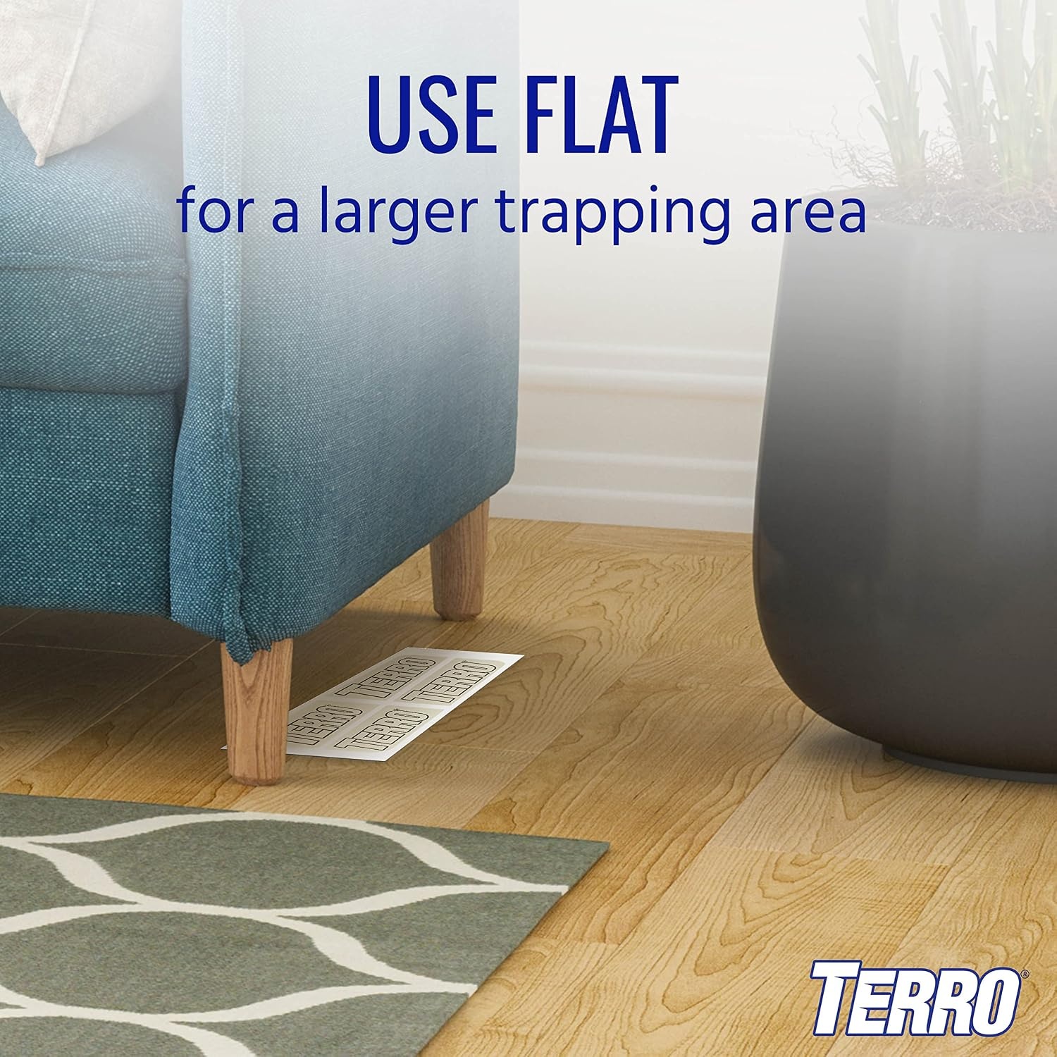 image:imageTERRO Spider amp Insect Trap 10Pack Sticky Glue Traps3 Pack