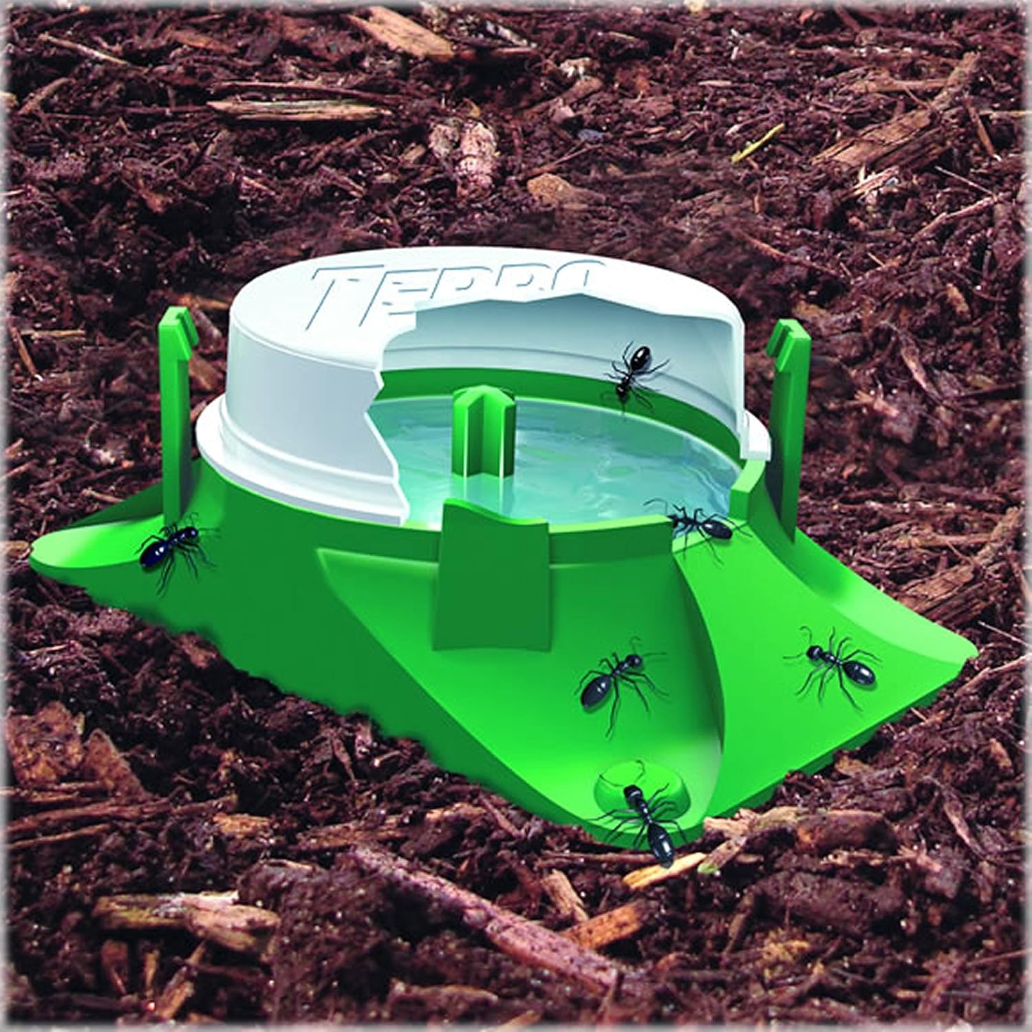 image:imageTERRO T18046 Outdoor ReadytoUse Liquid Ant Bait Killer and Trap Kills Common Household Ants 4 Bait Stations12 Ant Baits