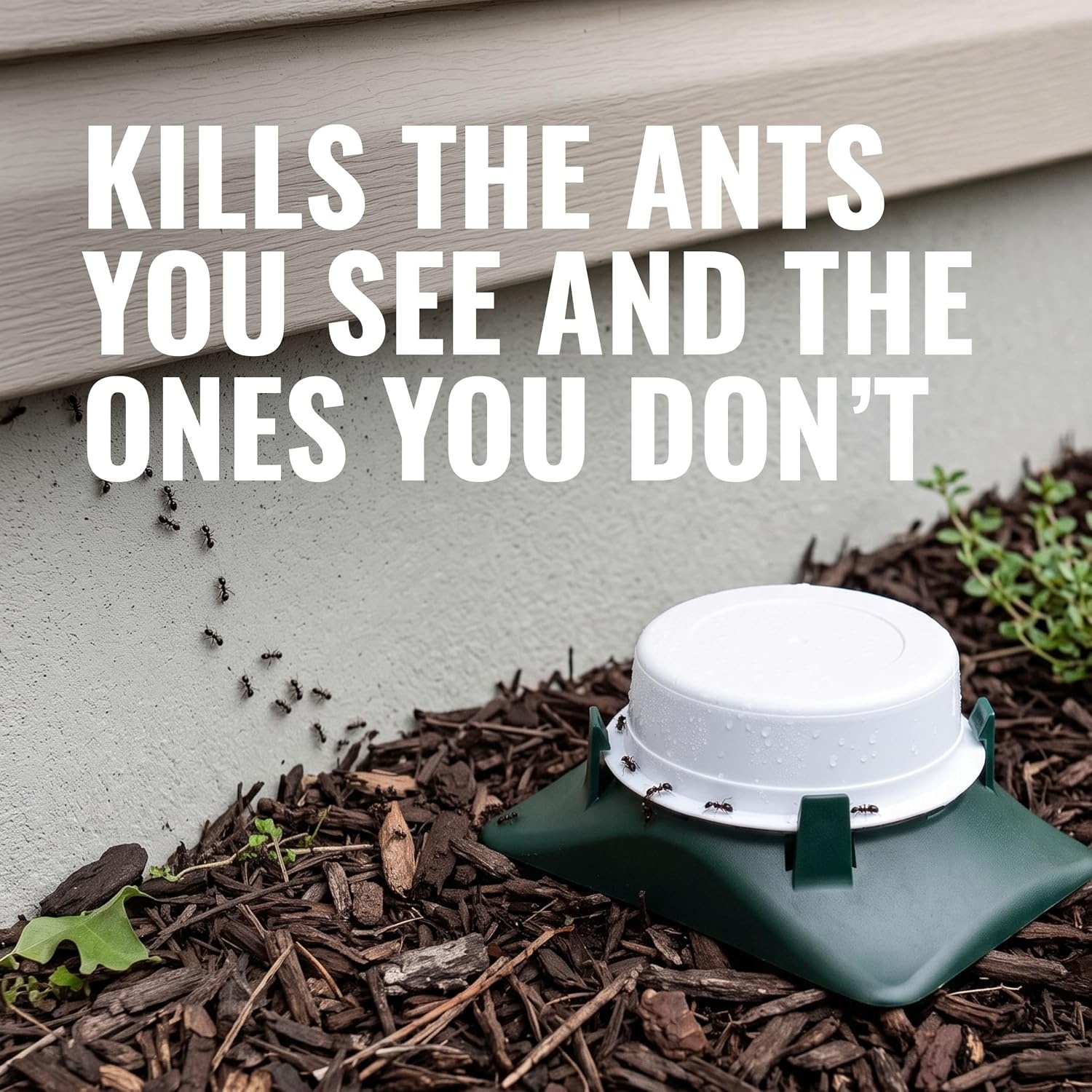 image:imageTERRO T18046 Outdoor ReadytoUse Liquid Ant Bait Killer and Trap Kills Common Household Ants 4 Bait Stations4 Ant Baits