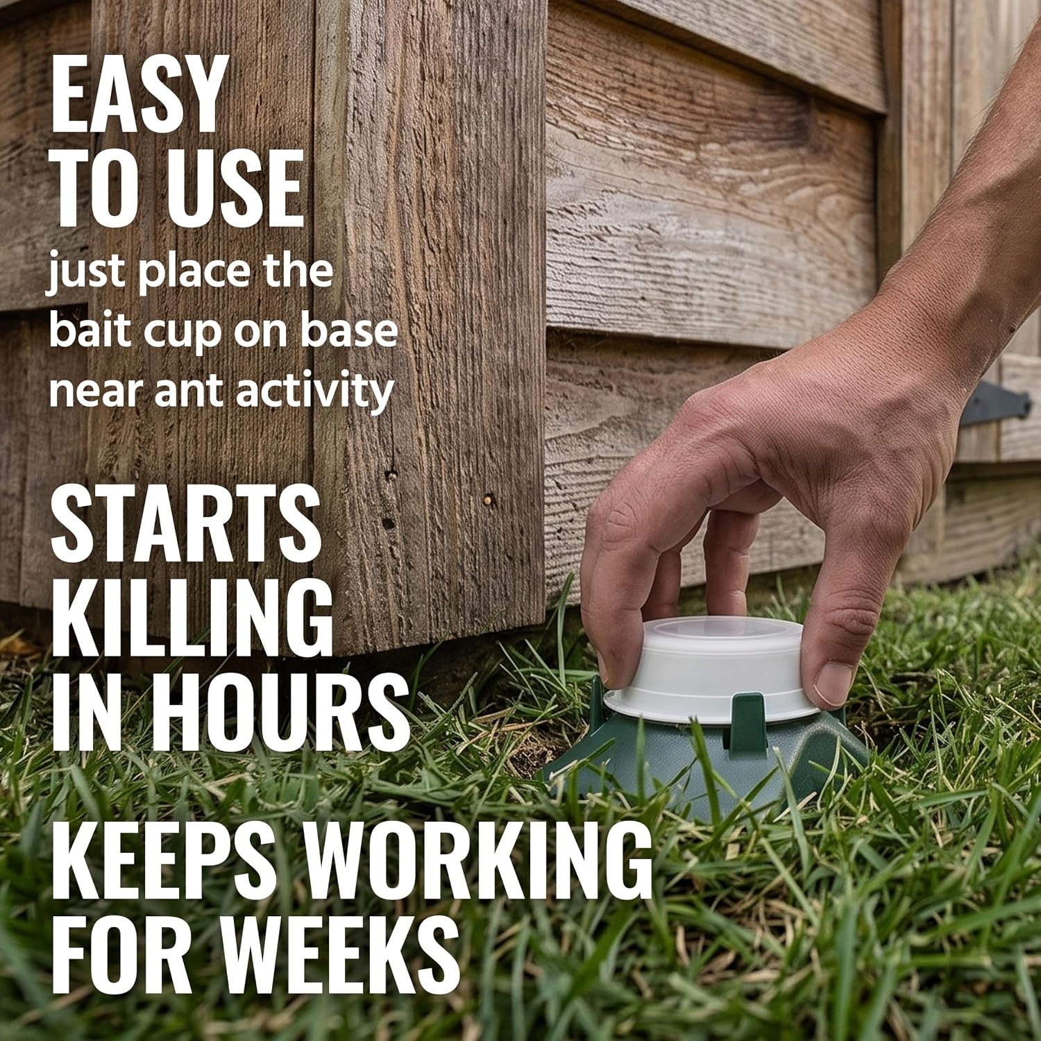 image:imageTERRO T18046 Outdoor ReadytoUse Liquid Ant Bait Killer and Trap Kills Common Household Ants 4 Bait Stations4 Ant Baits